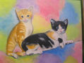 gatitos