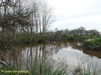 Arroyo el pescado