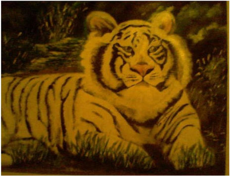 Tigre de bengala