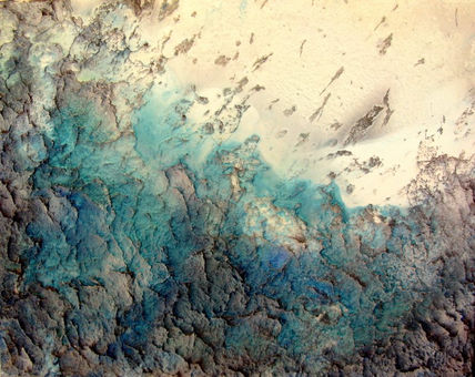 The reef