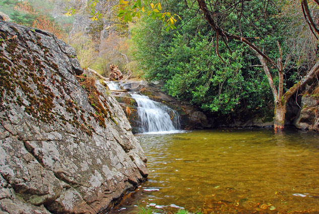 VALLE DEL LOZOYA (Otoño) 