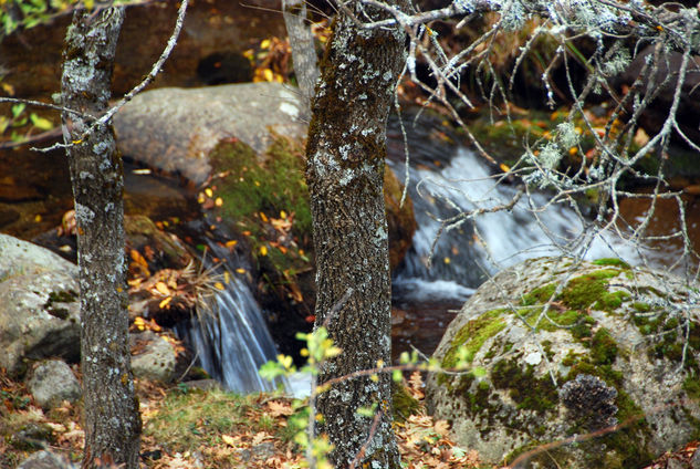 VALLE DEL LOZOYA (Otoño) 