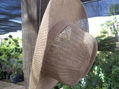 sombrero