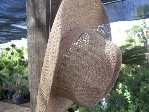 sombrero 