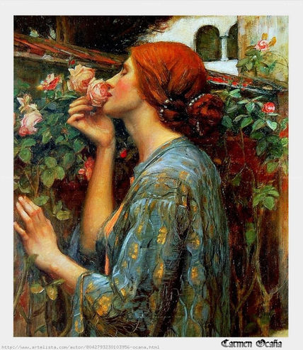 El Aroma de la Rosa