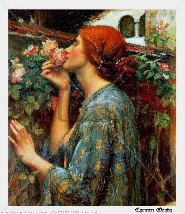 El Aroma de la Rosa