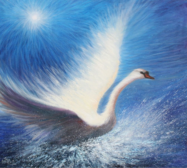 Cisne Oil Canvas