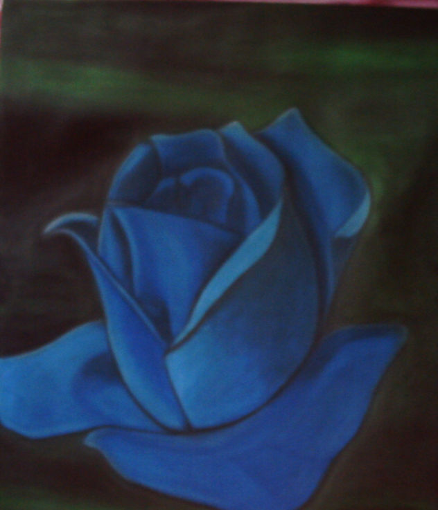 rosa