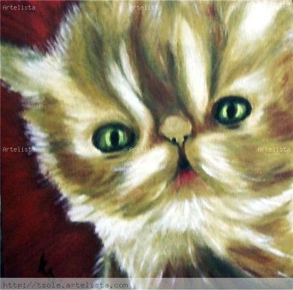 Gatito -3