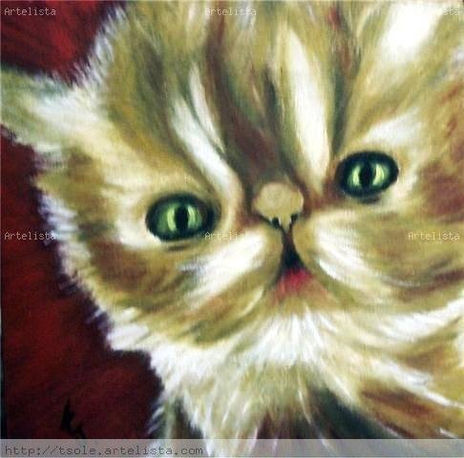 Gatito -3
