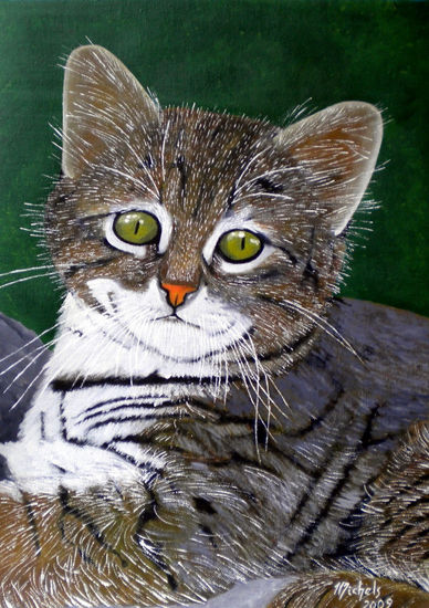 Encore un chat Acrylic Canvas Animals