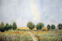 Campos de verano