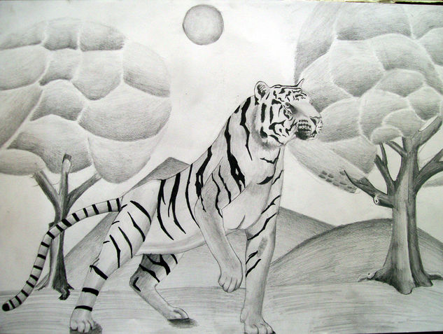 tigre en guardia Graphite