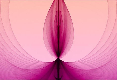 Fractal flor