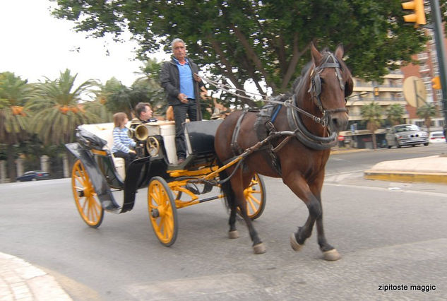 paseo del parque 