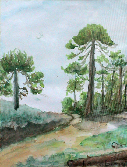 Araucarias Watercolour Canvas Landscaping