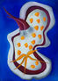 Nudibranquio