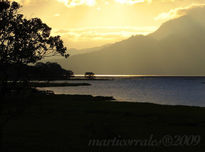 Atardecer en el lago