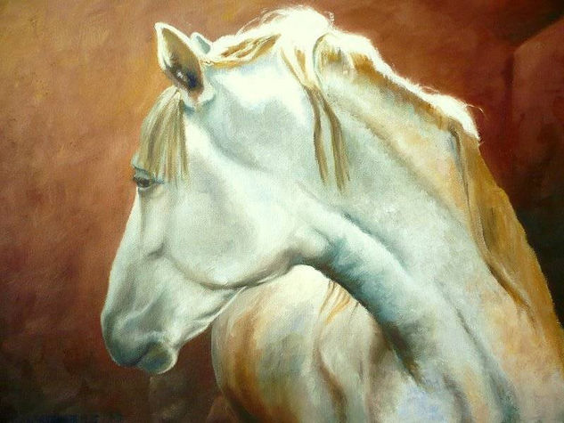 CABALLO 