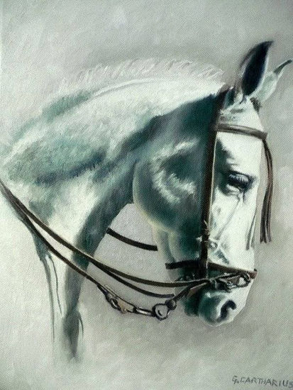 CABALLO Oil Canvas Portrait