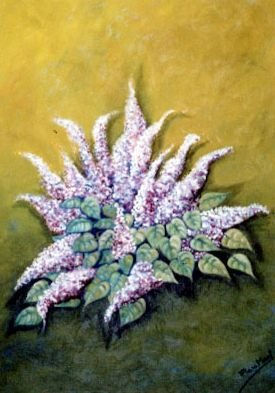 LILAS. ROSAMARI
