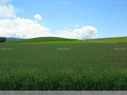 Paisaje 1 camino de...