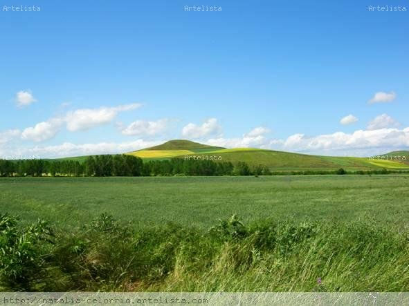 paisaje 5 camino de santiago