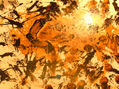 Pintura Asfáltica I
