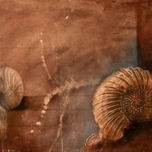 vida academica 2 thumbnail 2