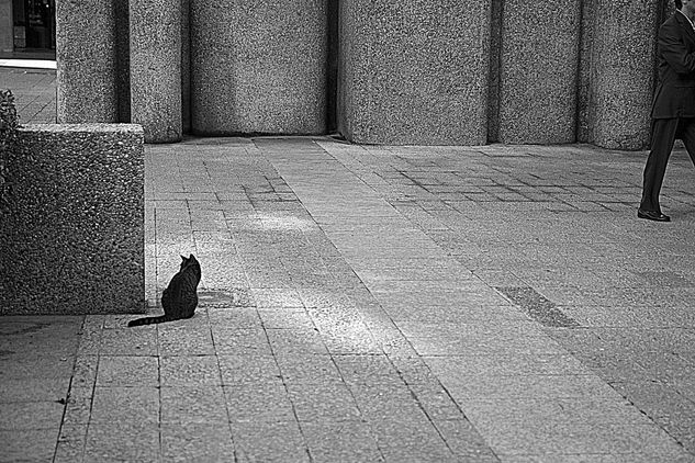 Caminos de Piedra Photojournalism and Documentary Black and White (Digital)