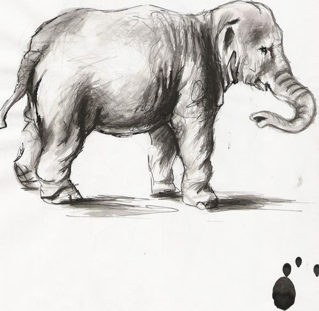 elefante