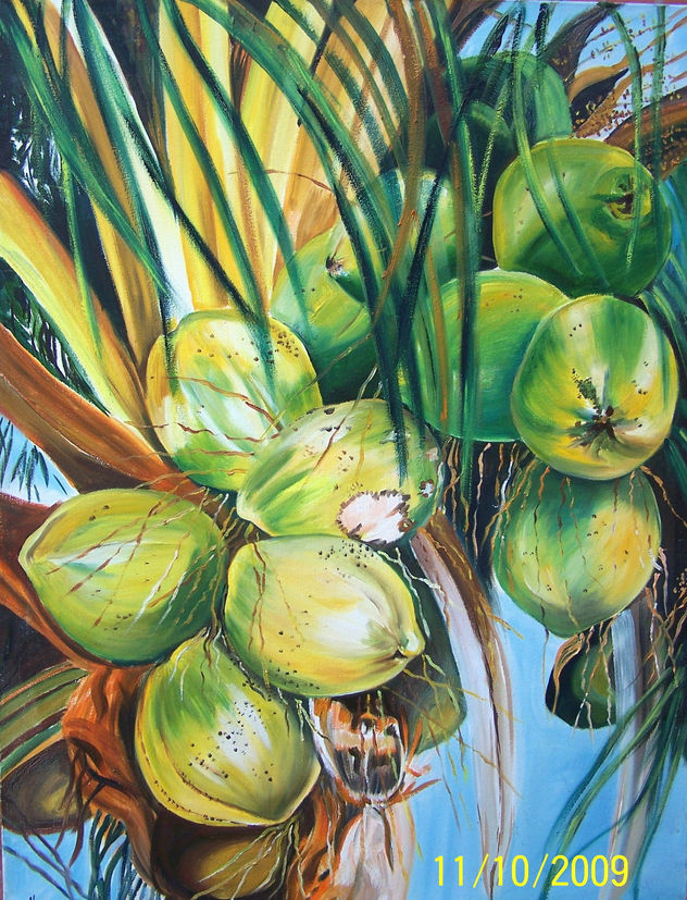 cocos