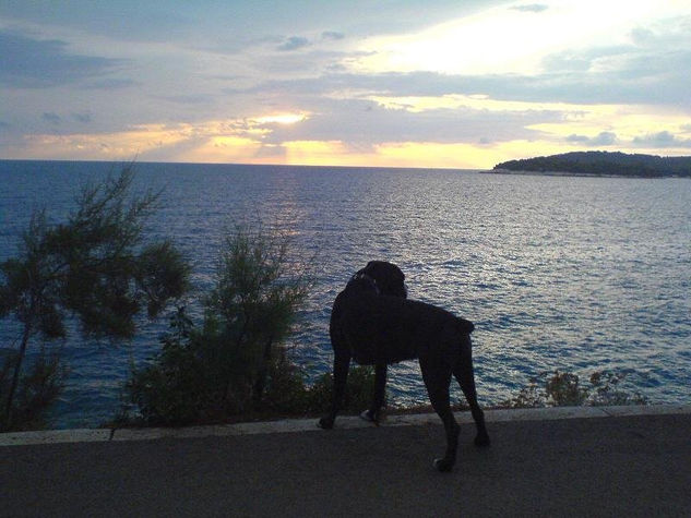 LA MASCOTA Y EL MAR Nature Color (Digital)