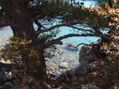 PAISAJE DE ITALIA