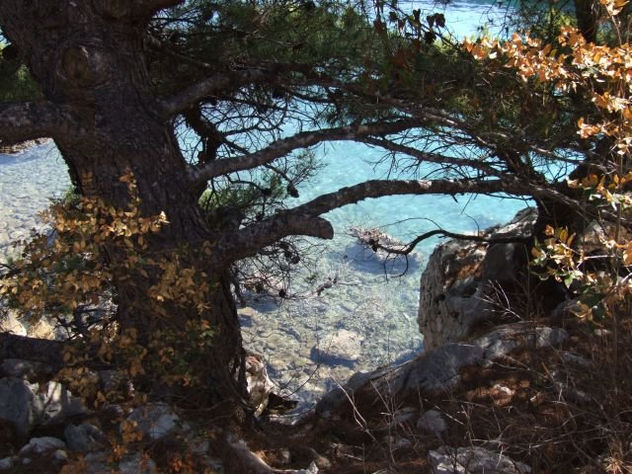 PAISAJE DE ITALIA