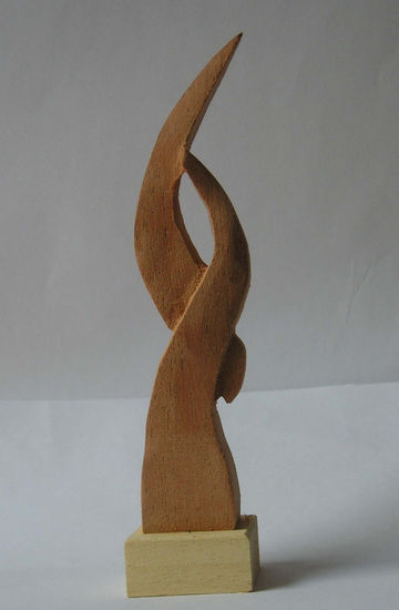 RAZA Wood Abstract