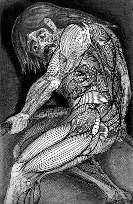 Desnudos sin piel...