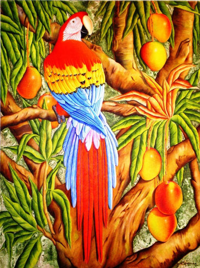 Guacamaya y Mangos Oil Canvas Others