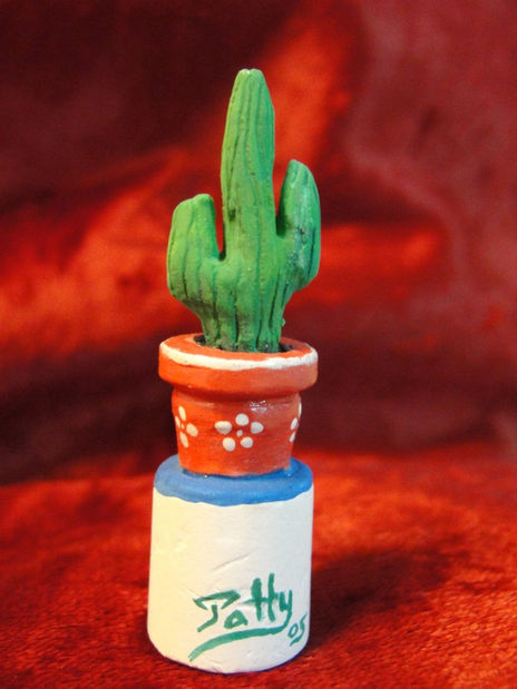 Cactus en maceta