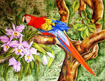 Guacamayo y Orquídeas