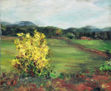 Arbusto amarillo