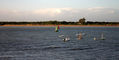 Parque Nacional Doñana