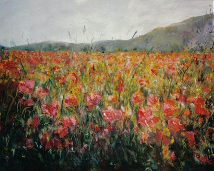 Amapolas