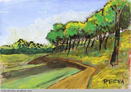 Camino pinar de...