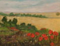 Amapolas 60x80 cm