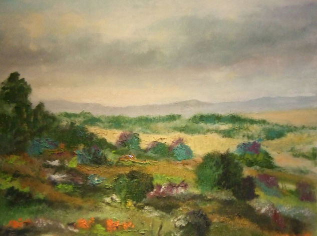 Monte castellano 65x81 cm 