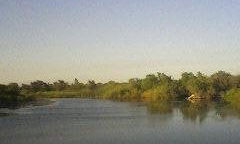 natura