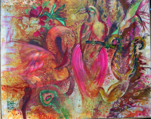 Aves del Paraiso