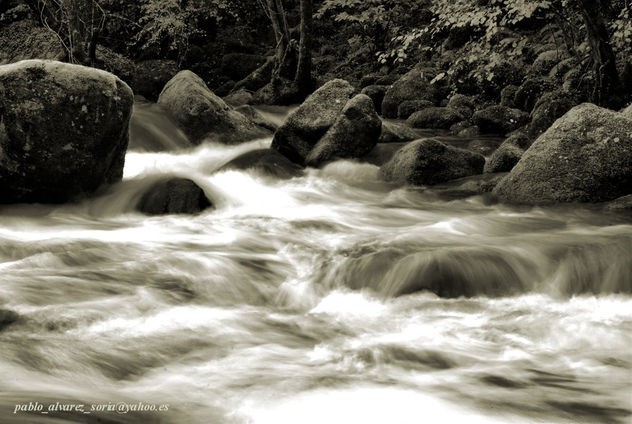 PIEDRAS EN EL RIO 3