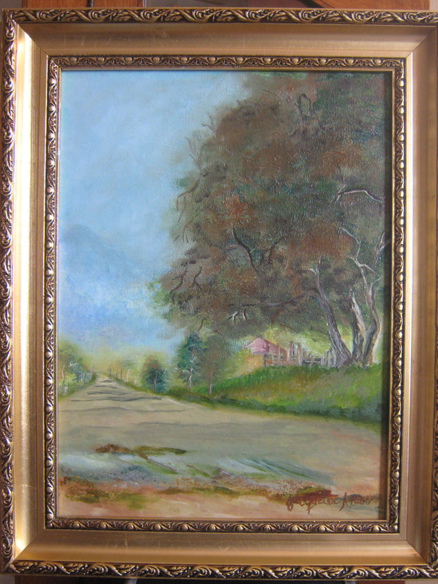 CASITA EN LA FARFANA
